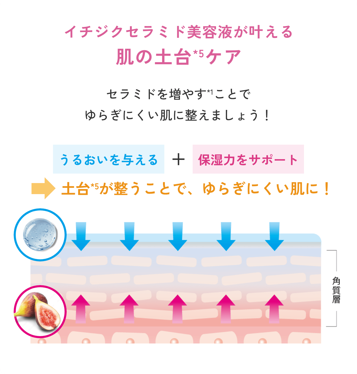 公式》セラミドが増える！イチジクバリア美容液 | チャントア