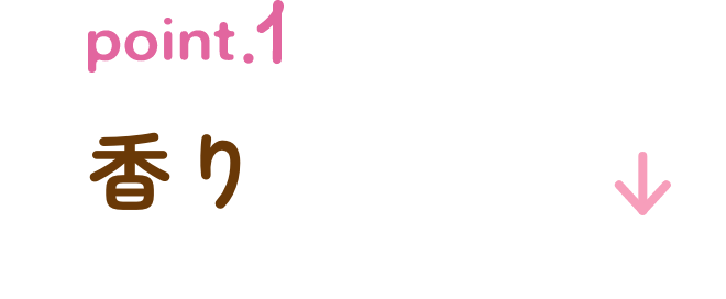 point1見出しSP