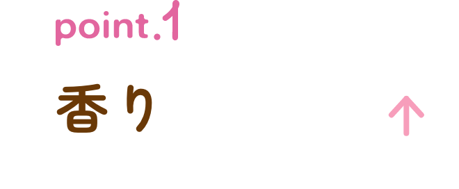 point1見出しSP