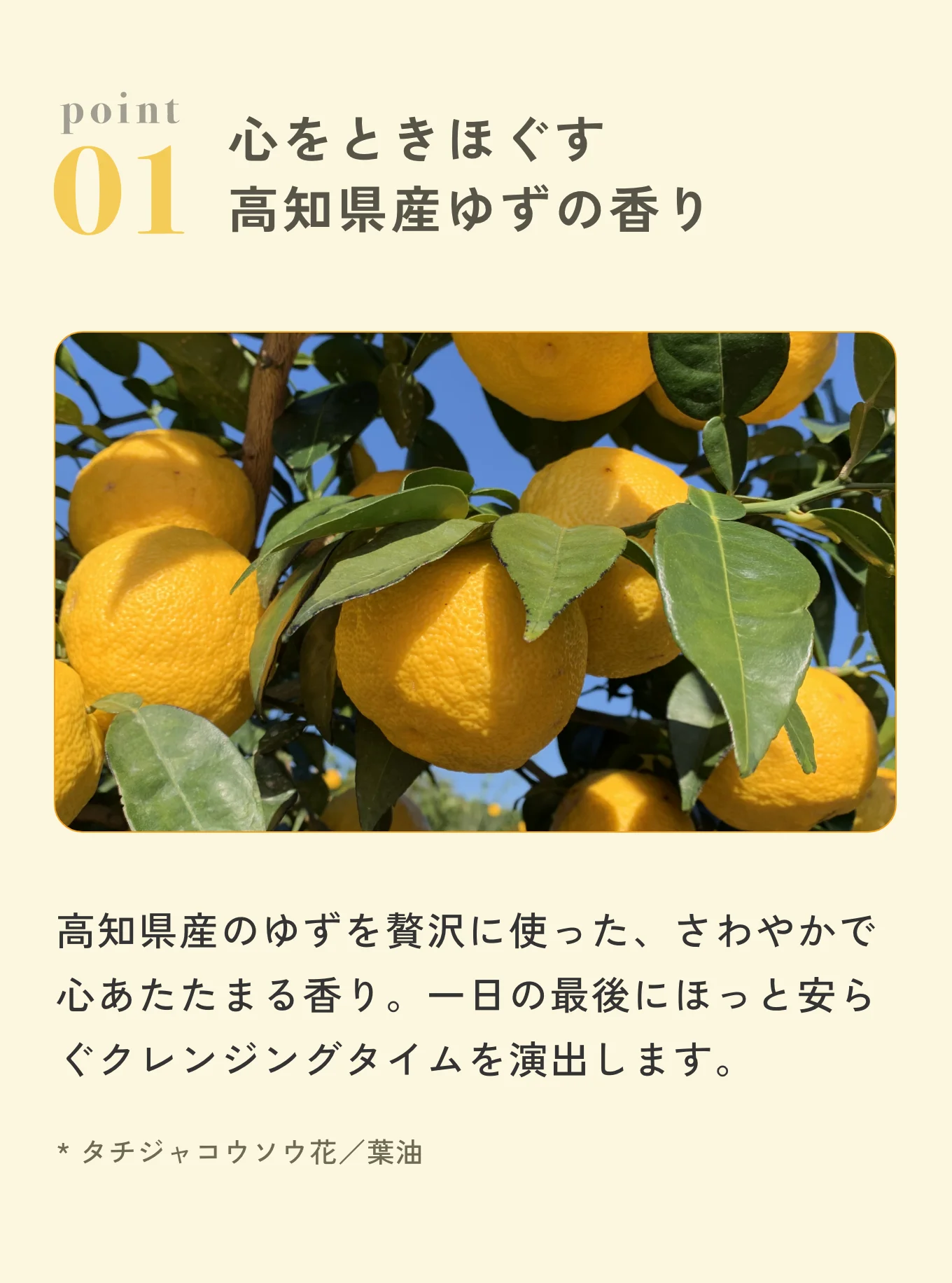 クレンジングミルクゆず | チャントアチャーム | ネイチャーズウェイ