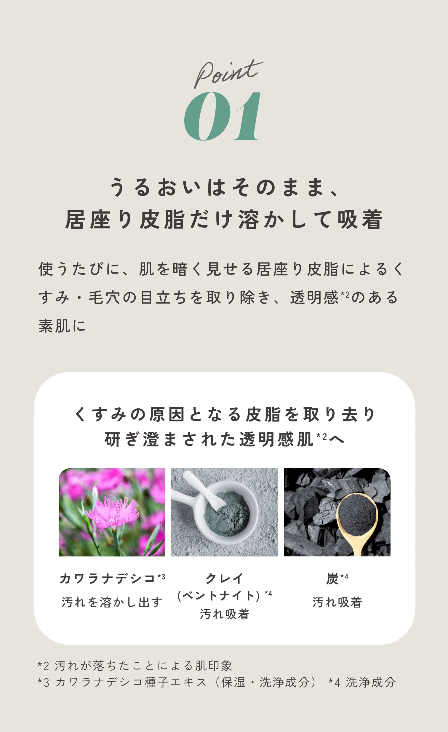 Point01 うるおいはそのまま、居座り皮脂だけ溶かして吸着 使うたびに、肌を暗く見せる居座り皮脂によるくすみ・毛穴の目立ちを取り除き、透明感 *2 のある素肌に くすみの原因となる皮脂を取り去り研ぎ澄まされた透明感肌 *2 へ カワラナデシコ *3 汚れを溶かし出す クレイ(ベントナイト) *4 汚れ吸着 炭 *4 汚れ吸着 *2 汚れが落ちたことによる肌印象 *3 カワラナデシコ種子エキス(保湿・洗浄成分) *4 洗浄成分