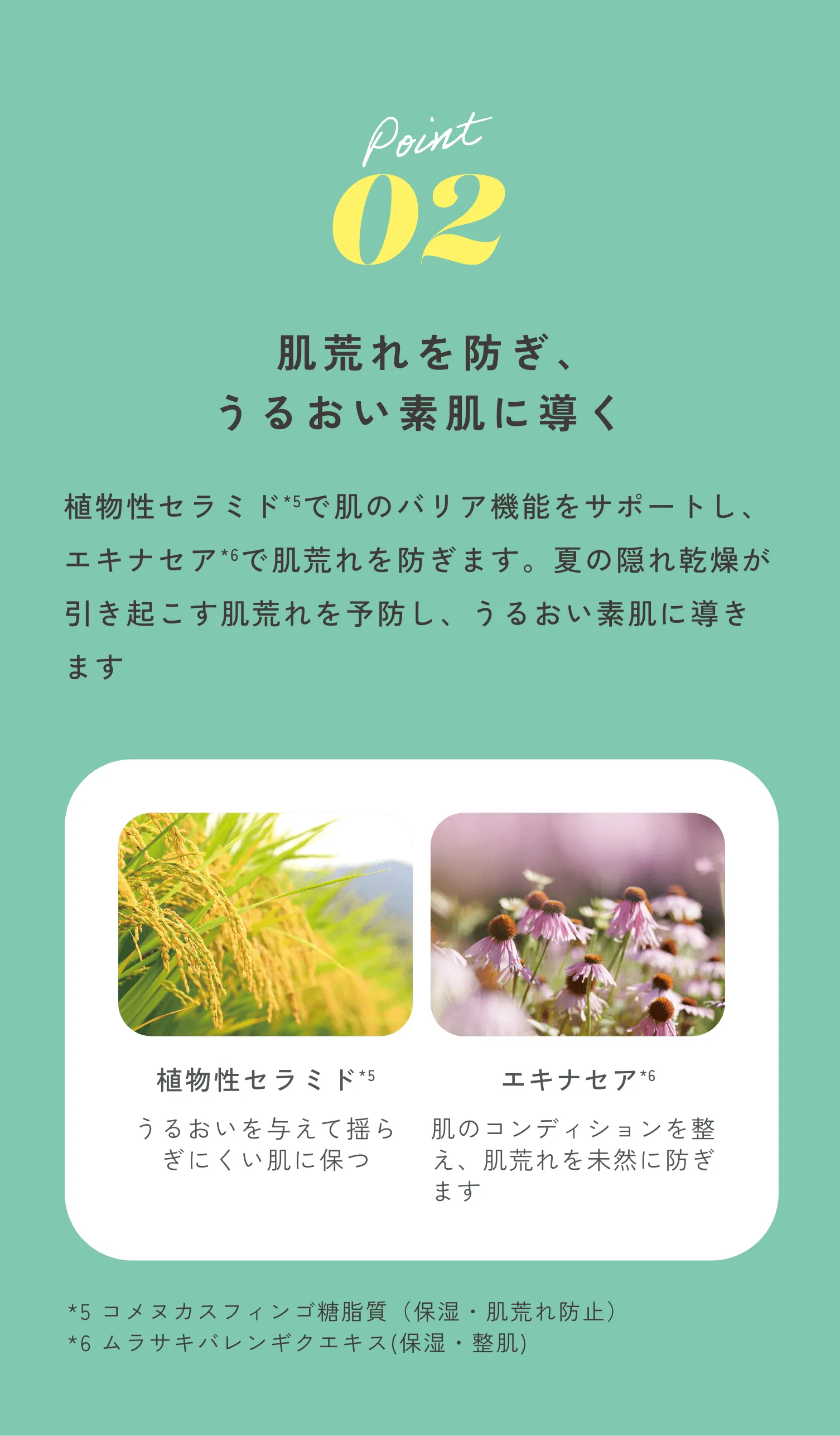 Point02 肌荒れを防ぎ、うるおい素肌に導く 植物性セラミド *5 で肌のバリア機能をサポートし、エキナセア *6で肌荒れを防ぎます。夏の隠れ乾燥が引き起こす肌荒れを予防し、うるおい素肌に導きます 植物性セラミド *5 うるおいを与えて揺らぎにくい肌に保つ エキナセア *6 肌のコンディションを整え、肌荒れを未然に防ぎます *5 コメヌカスフィンゴ糖脂質(保湿・肌荒れ防止) *6 ムラサキバレンギクエキス(保湿・整肌)
