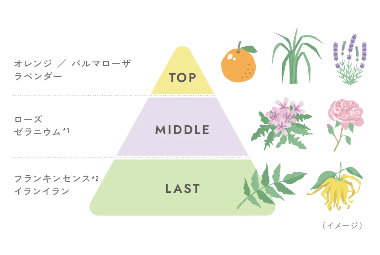 トップ、ミドル、ラストの香りの構成