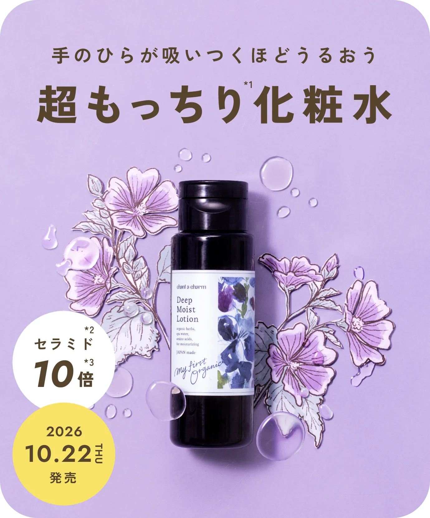 手のひらが吸いつくほどうるおう 超もっちり化粧水