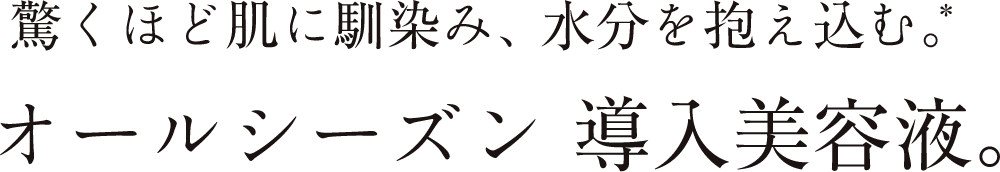 オールシーズン導入美容液。