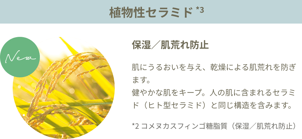 植物性セラミド配合　保湿・肌荒れ防止の効果