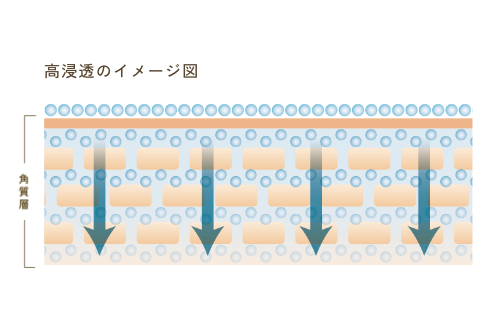 微細乳化の浸透図