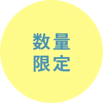 数量限定