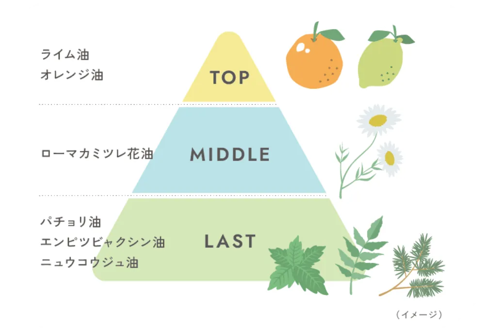 TOP:ライム油 オレンジ油　MIDDLE:ローマカミツレ花油　LAST:パチョリ油 エンピツビャクシン油 ニュウコウジュ油