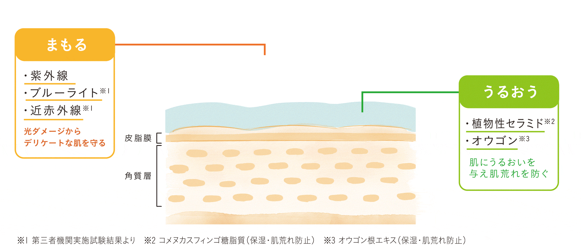 20代後半からは365日UVケア
