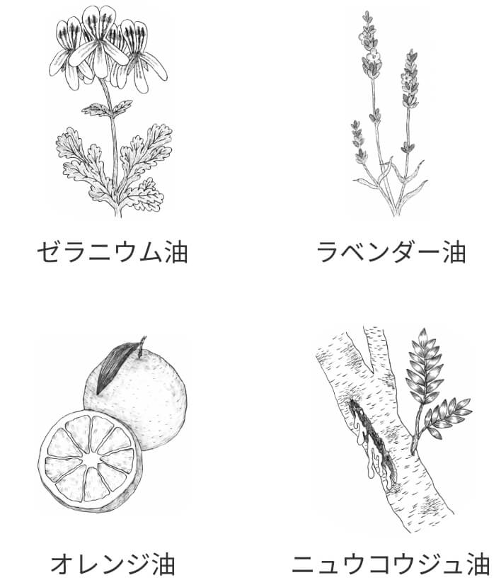 ほのかなゼラニウムの香り