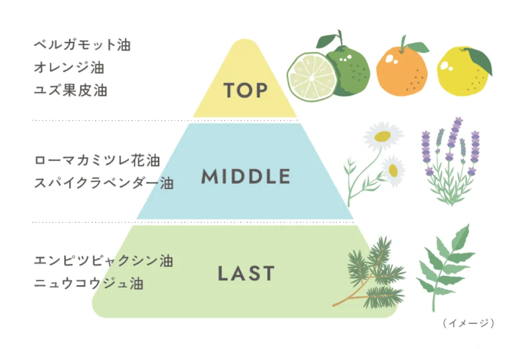 TOP:ベルガモット油　オレンジ油　ゆす皮油　MIDDLE:ローマカミツレ花油　スパイクラベンダー油　LAST:エンピツビャクシン油　ニュウコウジュ油