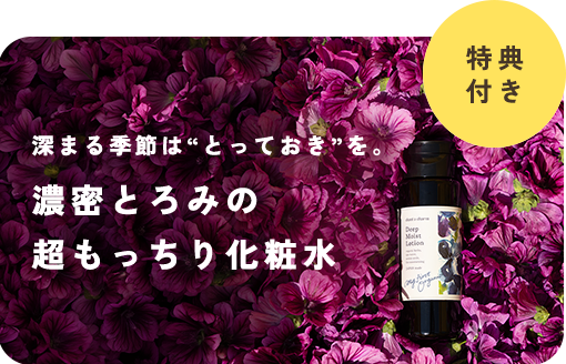 【限定特典付き】深まる季節にとっておき。濃密とろみの“超もっちり化粧水”<9/30まで>