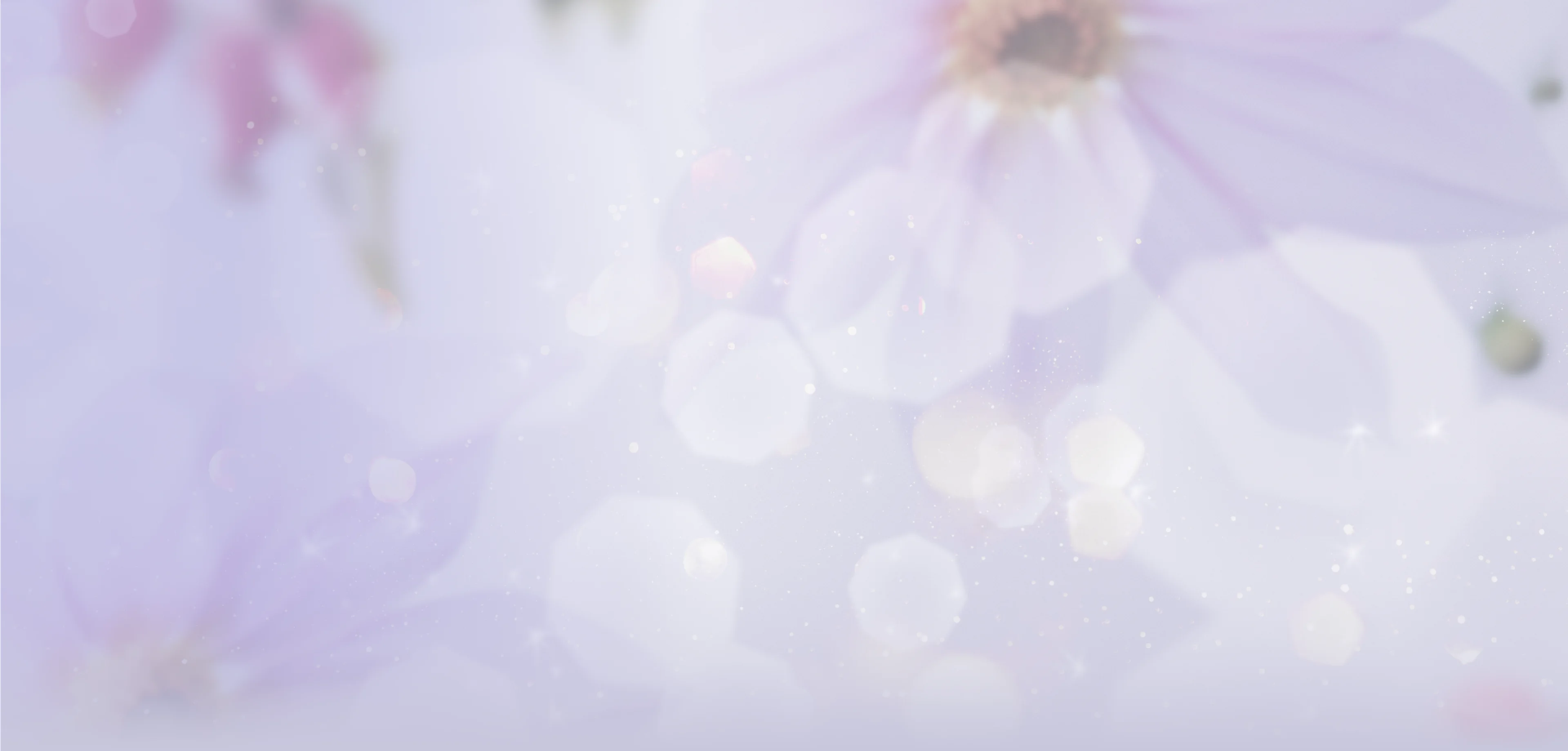 Luminous Bloom Collection
