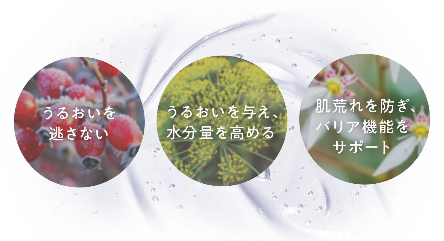 美容液成分88.5%配合
