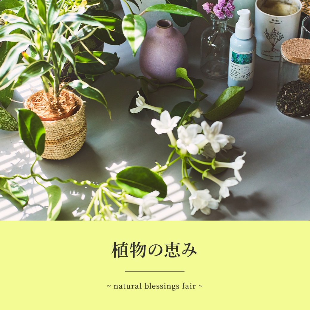 商品の恵みキャンペーン