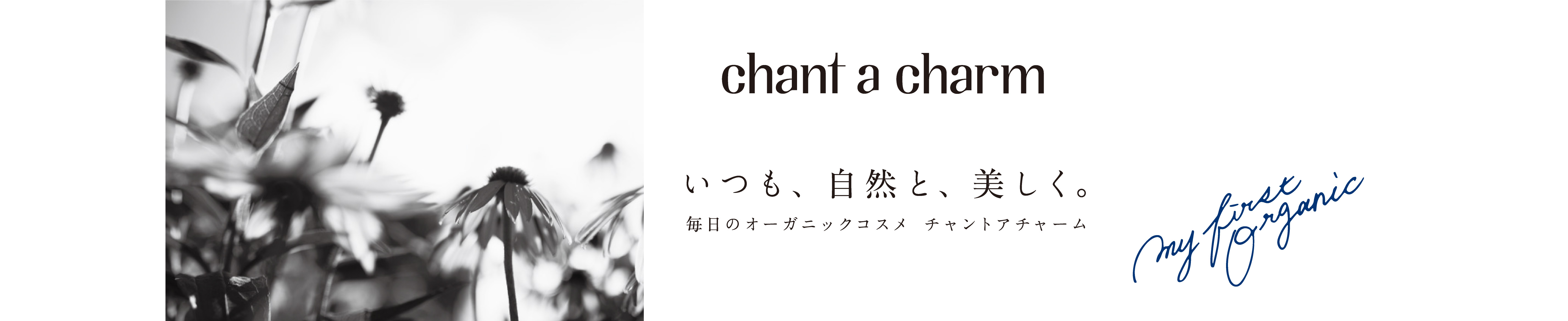 チャントアチャーム / chant a charm
