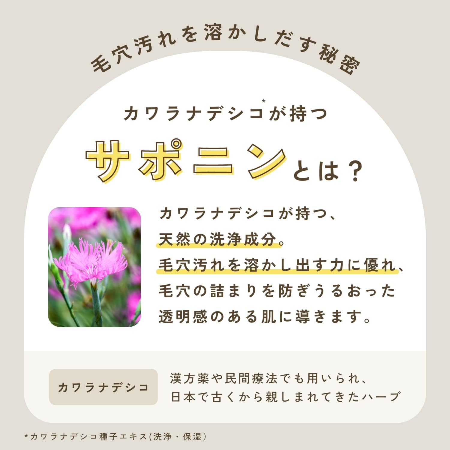 チャントアチャーム クレンジングミルクa: chantacharm|ネイチャーズ