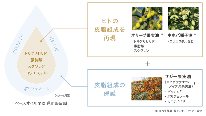 成分のこだわり