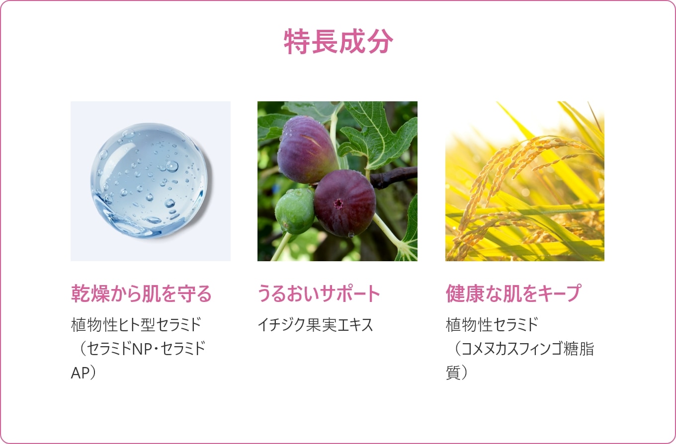 イチジク美容液　特徴成分