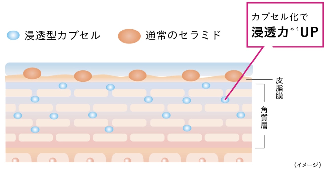 イチジク美容液　浸透力