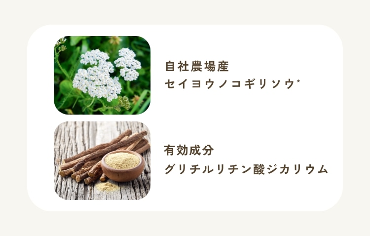 モイストリッチクリーム