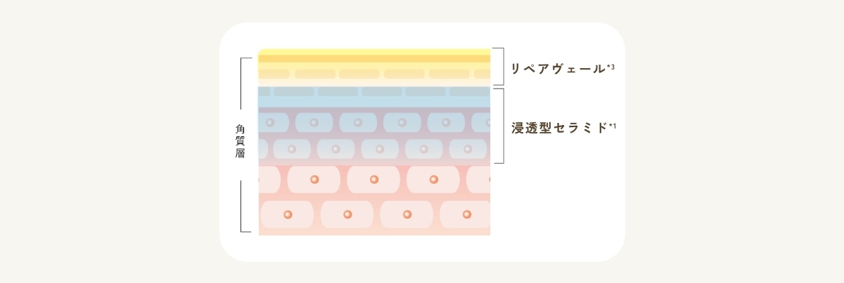 モイストリッチクリーム