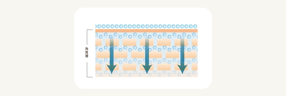 モイストリッチクリーム