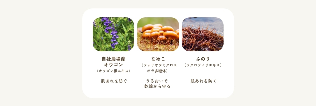 UVプロテクター