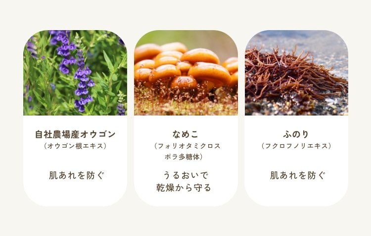 UVプロテクター