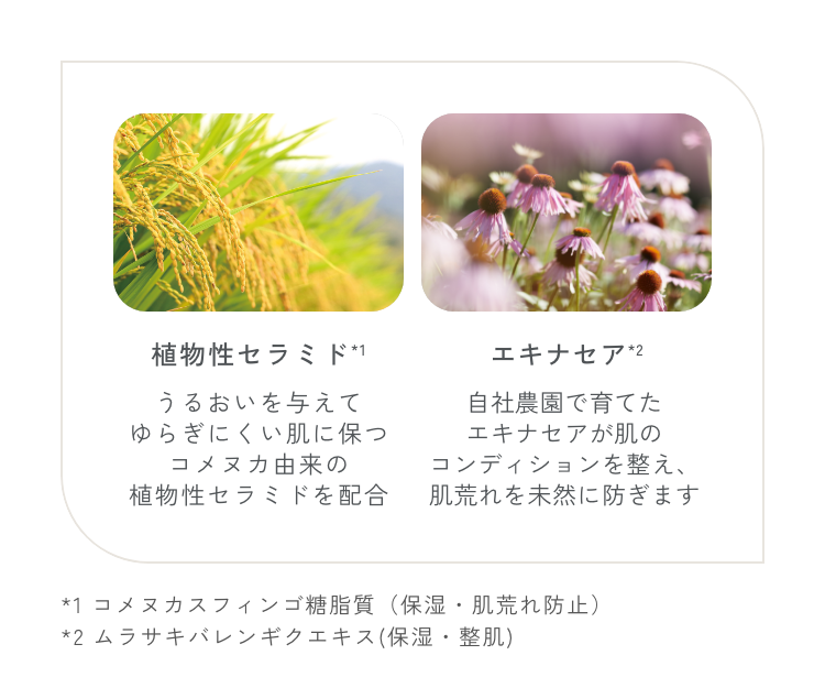 クリアクレイウォッシュ