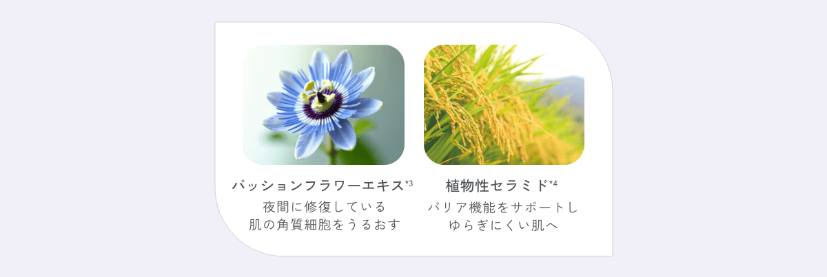 スリーピングリペアマスク