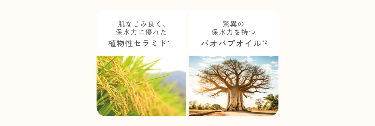 モイストリッチクリーム