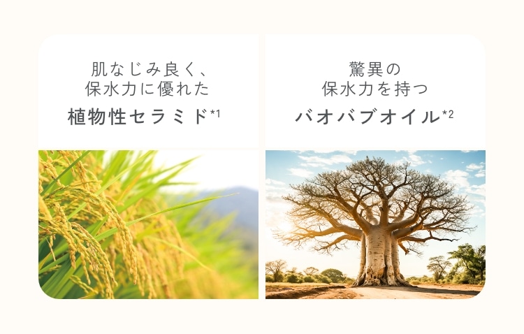 モイストリッチクリーム