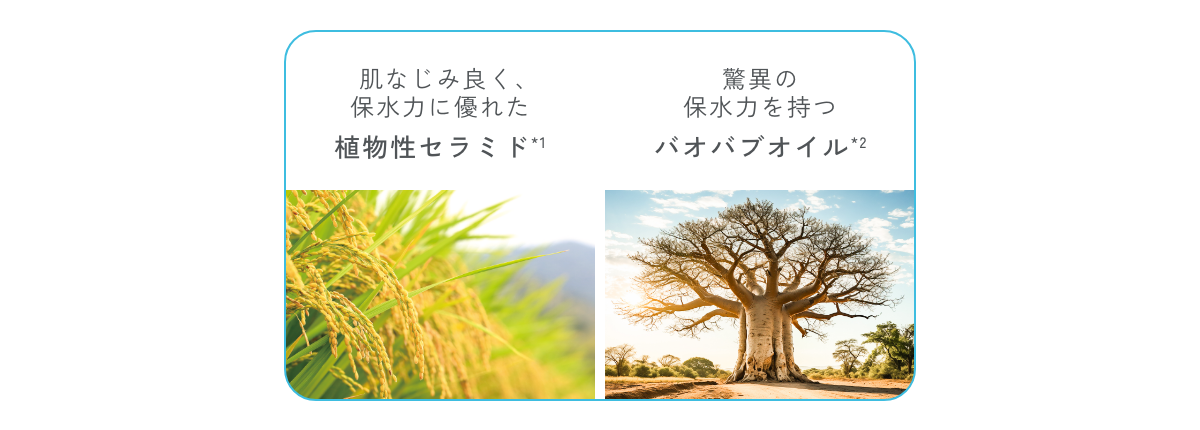 モイストブースターオイルクール