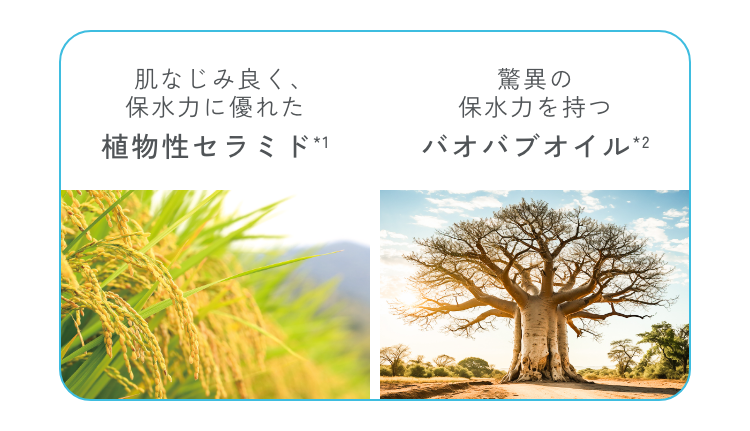 モイストブースターオイルクール