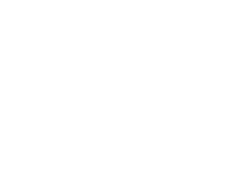 スキンフード コピー